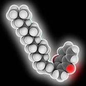 Vitamin K1 molecule