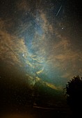 Perseid meteor trail in the night sky
