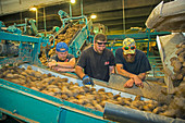 Potato processing plant,Idaho,USA