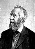 Ernst Haeckel,German zoologist