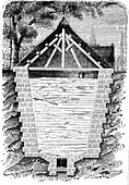 Ice-house,19th century