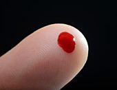 Blood droplet on finger