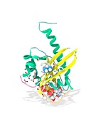 K-Ras benzamidine and GTP complex