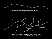 Branched and linear polyethylene