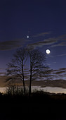 Venus and Mars in the night sky
