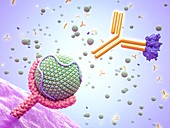 PCSK9 inhibitor and high cholesterol