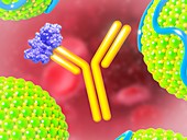 PCSK9 and inhibitor,illustration