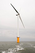 Robin Rigg offshore wind farm