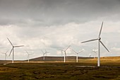 Scout Moor wind farm