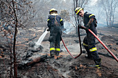 Firefighters tackling wildfire