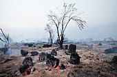 Smouldering scrubland after wildfire
