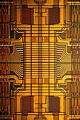 Computer RAM module,light micrograph