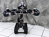 Surrogate robot