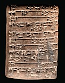Livestock receipt,Sumerian cuneiform