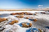 Frozen tarn