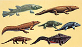 Prehistoric reptiles,illustration
