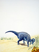 Iguanodon dinosaur,illustration