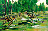 Pachycephalosaurus fighting,illustration