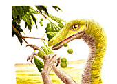 Dromiceiomimus dinosaur,illustration