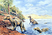 Edmontosaurus dinosaurs,illustration