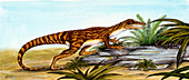 Staurikosaurus dinosaur,illustration