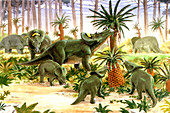 Brachyceratops dinosaurs,illustration