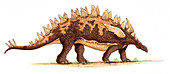 Yingshanosaurus dinosaur,illustration