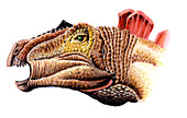 Huayangosaurus dinosaur,illustration