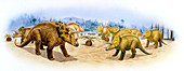 Triceratops dinosaurs,illustration