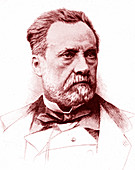 Louis Pasteur,French microbiologist