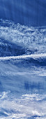 Cirrus clouds and contrails