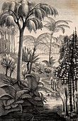 Forest during the Carboniferous period