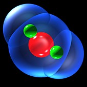 Water molecule