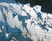 Grindelwald-Fiescher Glacier,Swiss Alps