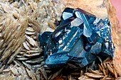 Bournonite on Gypsum Substrate I