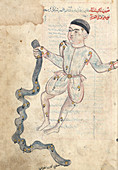 Aquarius constellation,15th century