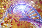 Information storage in DNA and silica