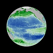 Ocean chlorophyll concentrations,2015