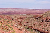 Sandstone wadi near Mexican Hat,Utah