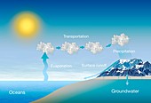 Water cycle,illustration