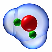 Water molecule