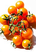 Cherry tomatoes 'Orange Paruche'