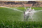 Crop irrigation,Idaho,USA