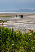 Great Salt Lake,USA