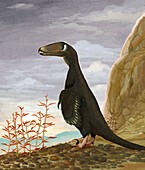 Deinonychus dinosaur,illustration