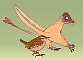 Quinlongopterus size comparison