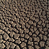 Cracked mud,Mojave Desert,USA