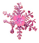 Snowflake,low-temperature SEM