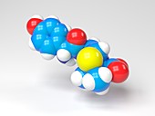 Amoxicillin molecule,Illustration
