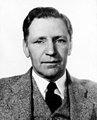 Lewis Heilbrunn,US physiologist